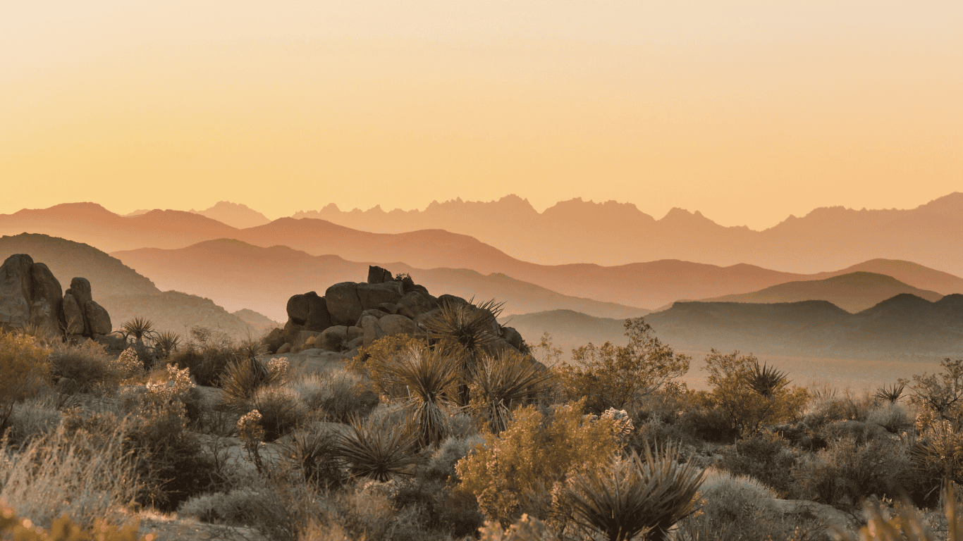 Emergency AC Repair Near You